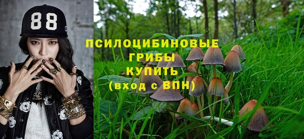 марки nbome Аркадак