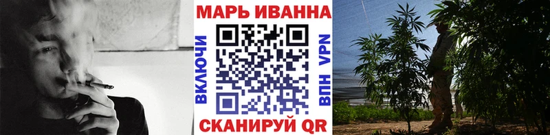 omg как войти  Волгоград  Конопля конопля 